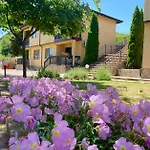 Complex Terazini