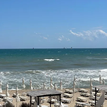 Complex Terazini *